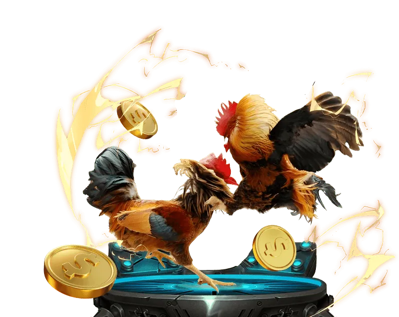 Ưu đãi hoàn trả win55 trực tuyến